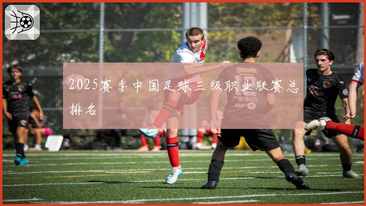 2025赛季中国足球三级职业联赛总排名