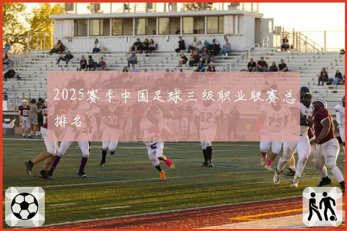 2025赛季中国足球三级职业联赛总排名