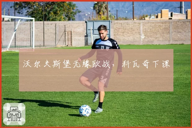 沃尔夫斯堡无缘欧战，科瓦奇下课